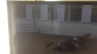 Snap falling over