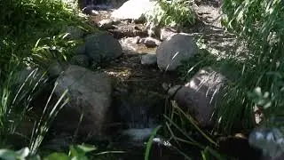 Waterfall and Pond at Krider's World Fair Gardens in Middlebury Indiana by Premiere Aquascapes