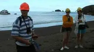 Green Globe Profile: White Island Tours