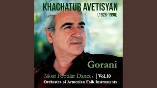 Tagh Gorani (feat. Yerevan Conservatory Orchestra of Armenian Folk Instruments & Norair Davtyan)