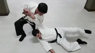 iwama Ryu Budo