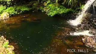 Bocawina Rainforest Resort & Adventures - Waterfall Expedition Belize