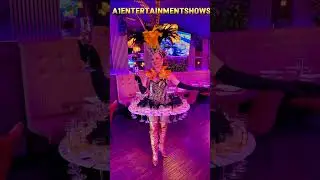 Welcome Party Event #shows #dance #models #party #event #beauty #2025 #naples #miami #Dancer #shows