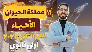 احياء الترم التاني 2023 اولى ثانوي تصنيف الكائنات الحية ممكلة الحيوان شعبة الحبليات✅شرح مبسط بالصور
