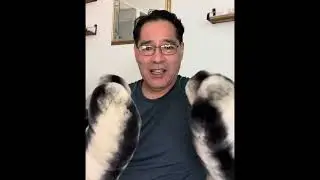 My Fur Mittens and Big Fur Jacket