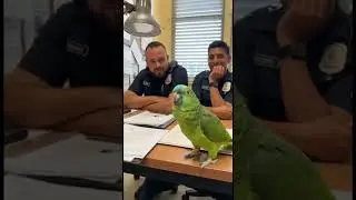 El loro abogado en la comisar&iacute;a 🤣🦜