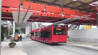 Bern: Freiburgstrasse (Inselspital). Trolleybus nr. 22, route 11