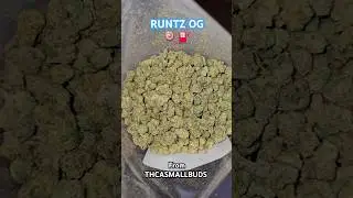 Quarter pound of Runtz OG from thcasmallbuds#thcareview #theplug #premium