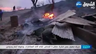 حريق مهول بعين قشرة..مقتل 3 أشخاص..إتلاف ألاف الهكتارات..ونفوق أبقار ودواجن
