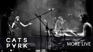 Cats Park - More Live