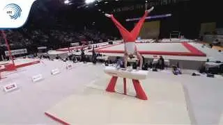 Louis SMITH (GBR) - 2015 European Champion (pommel horse)