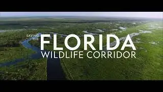 Saving the Florida Wildlife Corridor Official Trailer