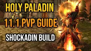 Biggest Damage Healer EVER - Shockadin Hpal DPS Guide PvP
