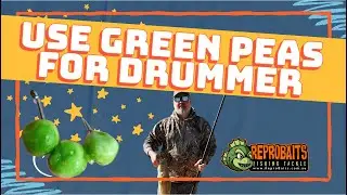 Fishing for Drummer & Bream with Green Peas: A Unique Bait Choice!