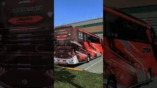 KD ACC PMT UPDATE JB3 DANZ BUSSID V42🥵 #automobile #busmania #bussid #basuri #bussimulatorindonesia