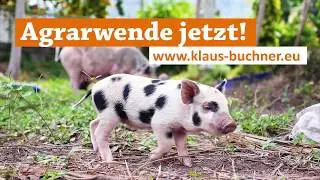 Agrarwende jetzt! &ndash; Klaus Buchner &uuml;ber Massentierhaltung und multiresistente Keime
