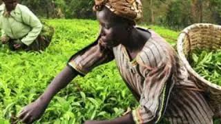 Fallacy of The Subsistence Economy