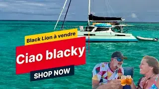 Pourquoi notre catamaran Black Lion est à vendre ? Ç’est arrivé un jour 😢et on ne le savait pas.