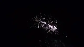 Dreischlag Schocker Crackerpalme-Goldblinker
