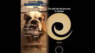 Ranking Dogs Understanding English (Part 2)