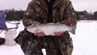 Brown trout ice fishing wi 2017!!