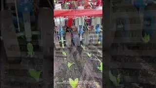 Automatic Vegetable Transplanting Machine
