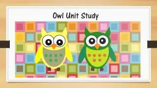 Owl Unit Study for Homeschool