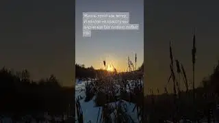 Взирая на красоту Его ...#life #love #god