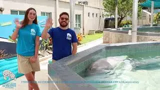 Get to know a little bit more about the Caribbean Manatee Conservation Center