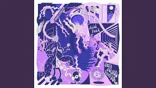 Acid Funk