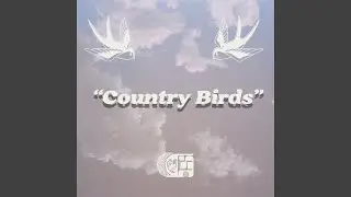 Country Birds (feat. Zack Wiggs)