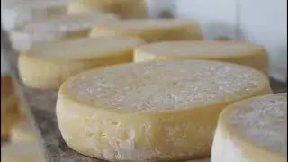Em Caeté, fabricação de queijos artesanais une tradição e modernidade