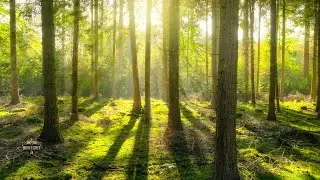 You Know Me Still | Original Christian Worship Song | BibleGrit