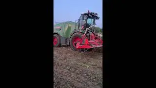 UK South West Somerset Maize harvest 2020, Fendt Katan 65 and Claas 970 Forage Harvesters