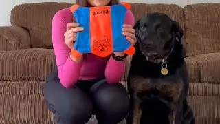 Chuckit! Flying Squirrel Dog Toy Large Review