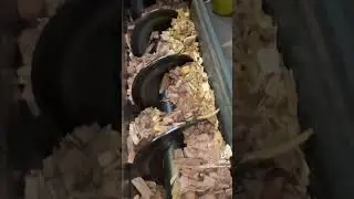 ETA 500kw Biomass boiler in action