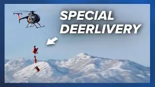 Deer airlifted over Utah skies