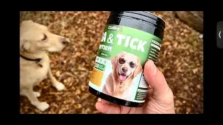Are Natural Flea Chews Safe for Dogs? Cudory Dog Chews