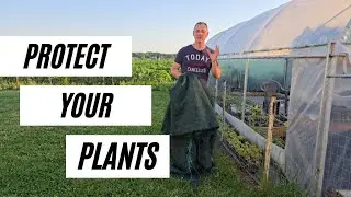 Shade cloth for plants!