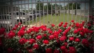 Original Tanner and Blair Best Friends KTUL news story  by Andrejs Dabars and Burt Mummolo.mp4