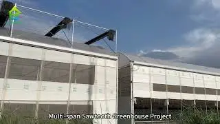 Tropical Black White Film Sawtooth Greenhouse Project