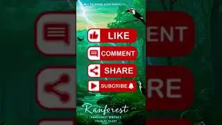 Rainforest TikTok: Like, Comment & Subscribe to Nature!