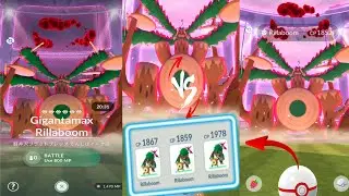 Wow 😲3 Gigantamax Rillaboom vs Gigantamax Rillaboom Raid in pok&eacute;mon go