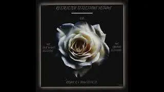 Soulistic TJ & Royal K - Restricted Selections Vol. 10 (Bulmas BDMX)