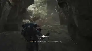 Spacemarine 2