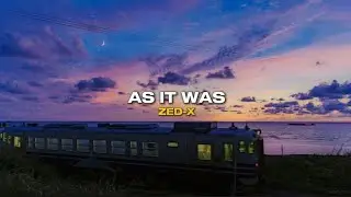 Zed-x As It Was (Acoustic Version) | (Lyric Video) 