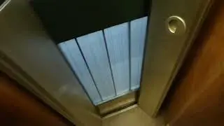 Gorgeous posh 1950 Thyssen MAN lift elevator - Trizocbs