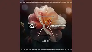 The Groove