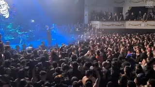 GORILLA BISCUITS 