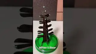 Magic Funny Tree #shorts #christmastree #merrychristmas #christmas